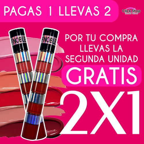 LABIAL LÍQUIDO MATE  4 EN 1.  2x1